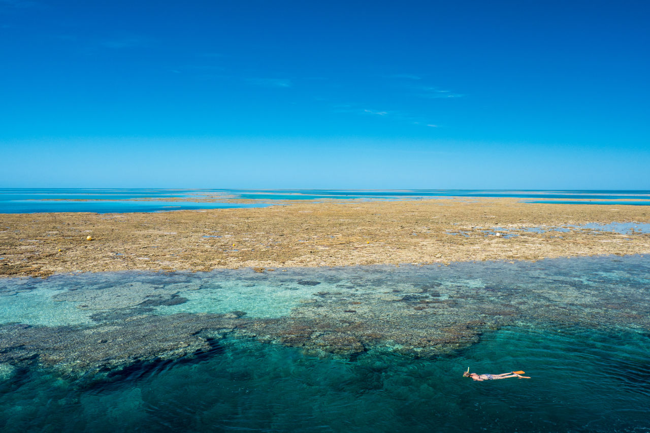 Snorkeler on the Great Barrier Reef. Ocean Image Bank