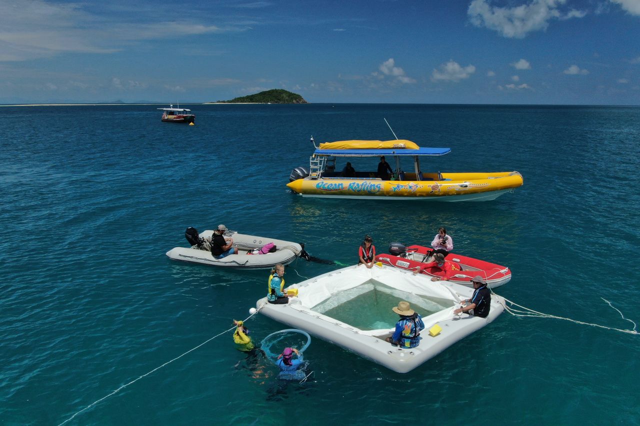 Floating pools are used to rear millions of coral babies on the Reef. Credit: Johnny Gaskell