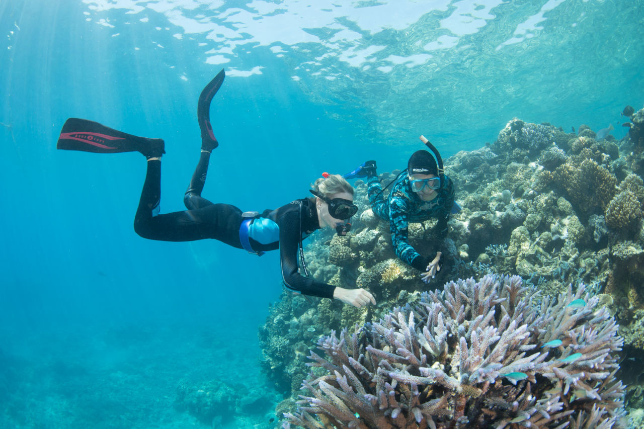Researchers on Moore Reef
