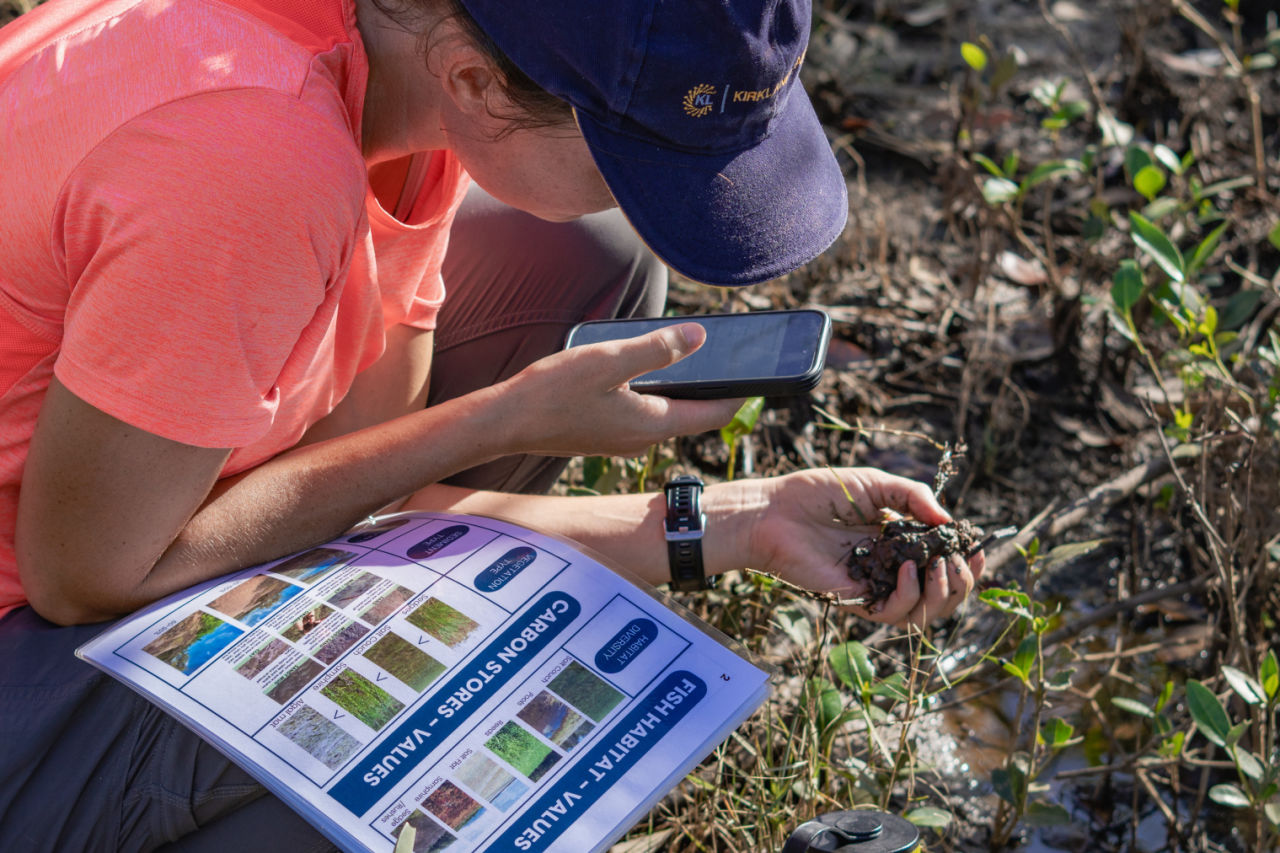 Volunteers use guides to help identify saltmarsh species. Credit: Ben and Di