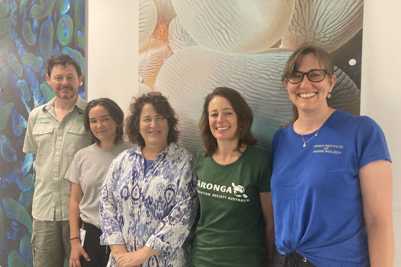 Taronga Conservation Society researchers on site at the Australian Institute of Marine Science's National Sea Simulator to collect coral spawn, separate bundles to analyse and freeze sperm, and also use eggs to fertilize and create coral larvae for new cr