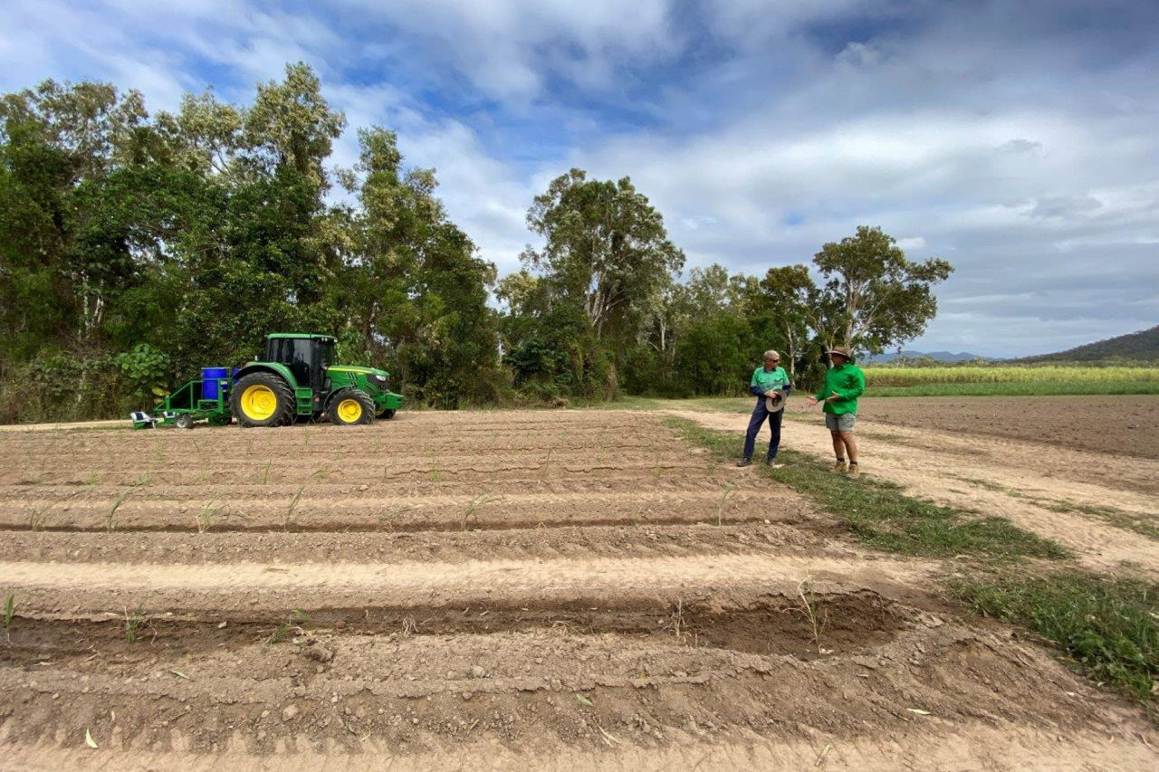 Soil health is important to Herbert district grower Michael Penna. Credit: HCPSL