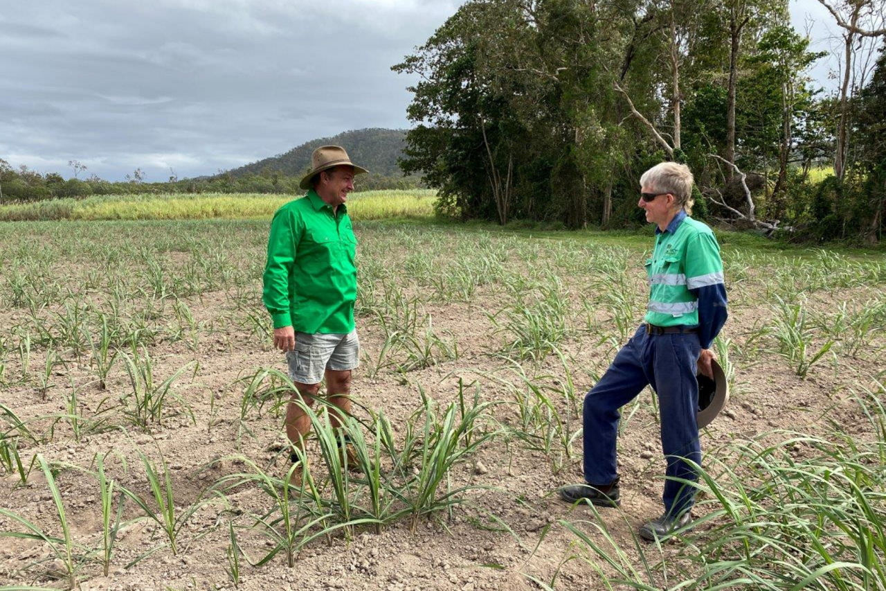 HCPSL's Graeme Holzberger and Herbert district grower Michael Penna discuss the importance of soil health to maximising his productivity and minimising fertiliser losses through runoff. Credit: HCPSL
