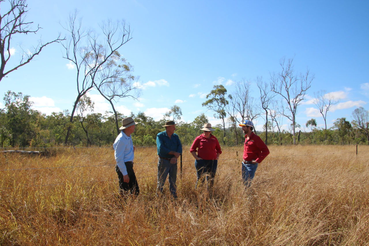 Left to Right: Rod Kerr, Kangaroo Hills grazier Deano Penna, NQ Dry Tropics Ashleigh Kilgannon and Josh Nicholls discuss the outcomes of the good grazing land management approaches. Credit: C James/GBRF