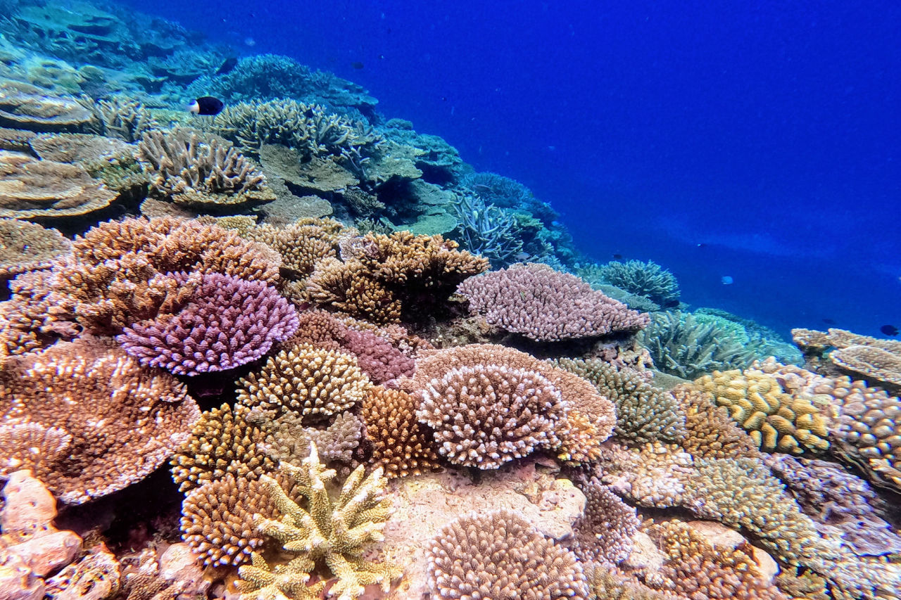 The project has achieved an enduring end-of-catchment reduction of 48,200 tonnes in fine sediment from entering the Great Barrier Reef. Image GBRF
