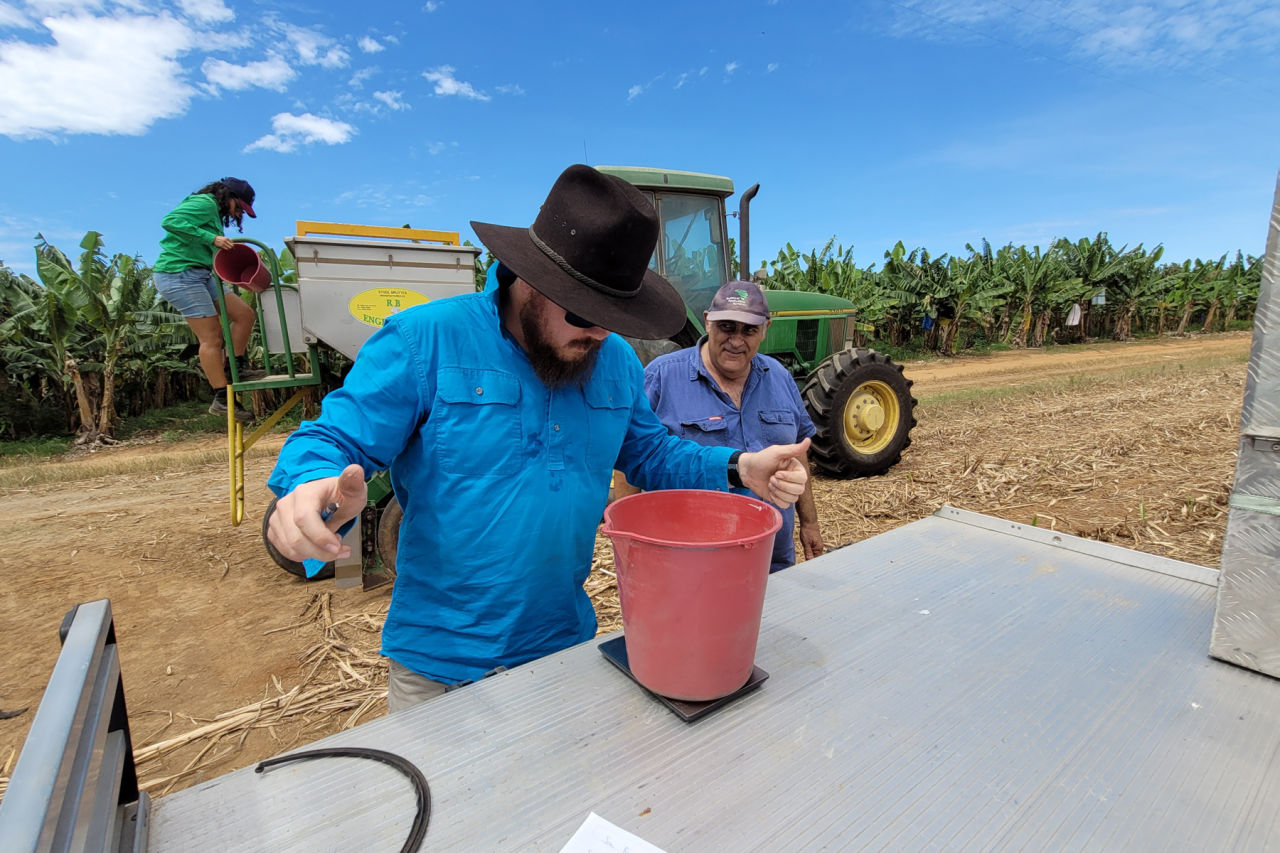 Extension Officers Peter Becke & Maria Solis calibrating a fertiliser bucket with grower Joe Raciti. Credit: Cassowary Coast Reef Smart Farming