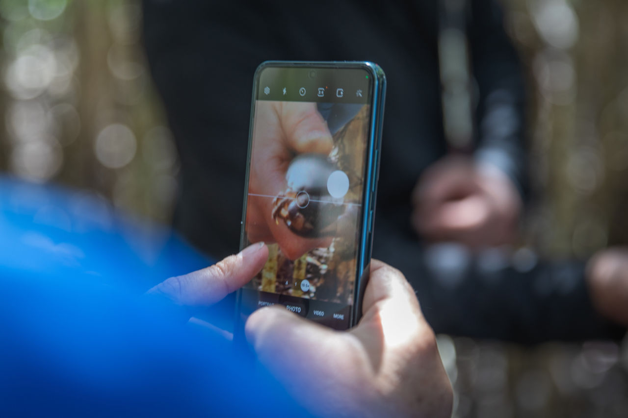 Your wildlife are valuable to community science platforms like iNaturalist. Credit: Bendi Media.