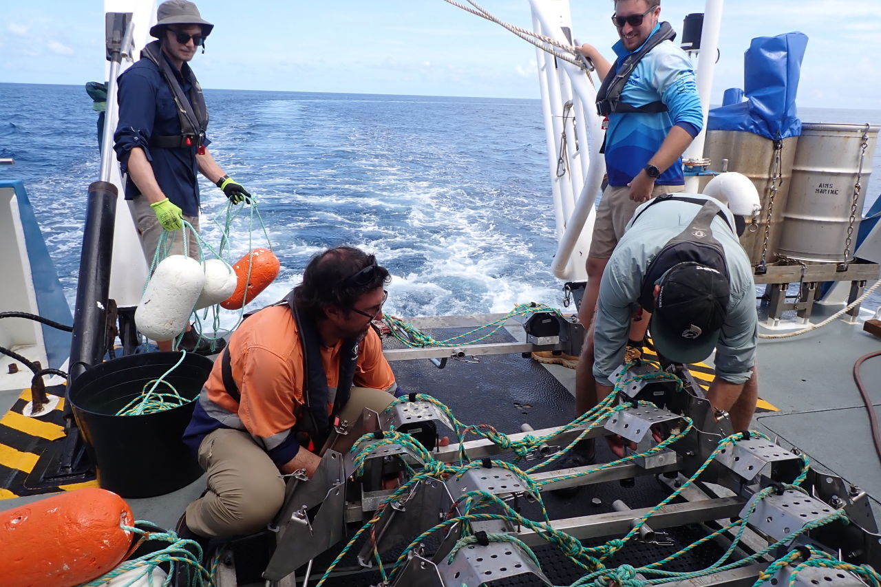 Deployment of BRUVS in the Northern Great Barrier Reef: Australian Institute of Marine Science