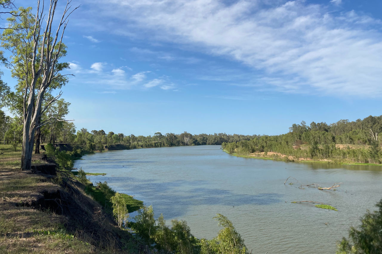 Bank erosion on the Fitzroy River before rehabilitation project implemented by the Fitzroy Basin Association. Credit: Fitzroy Basin Association