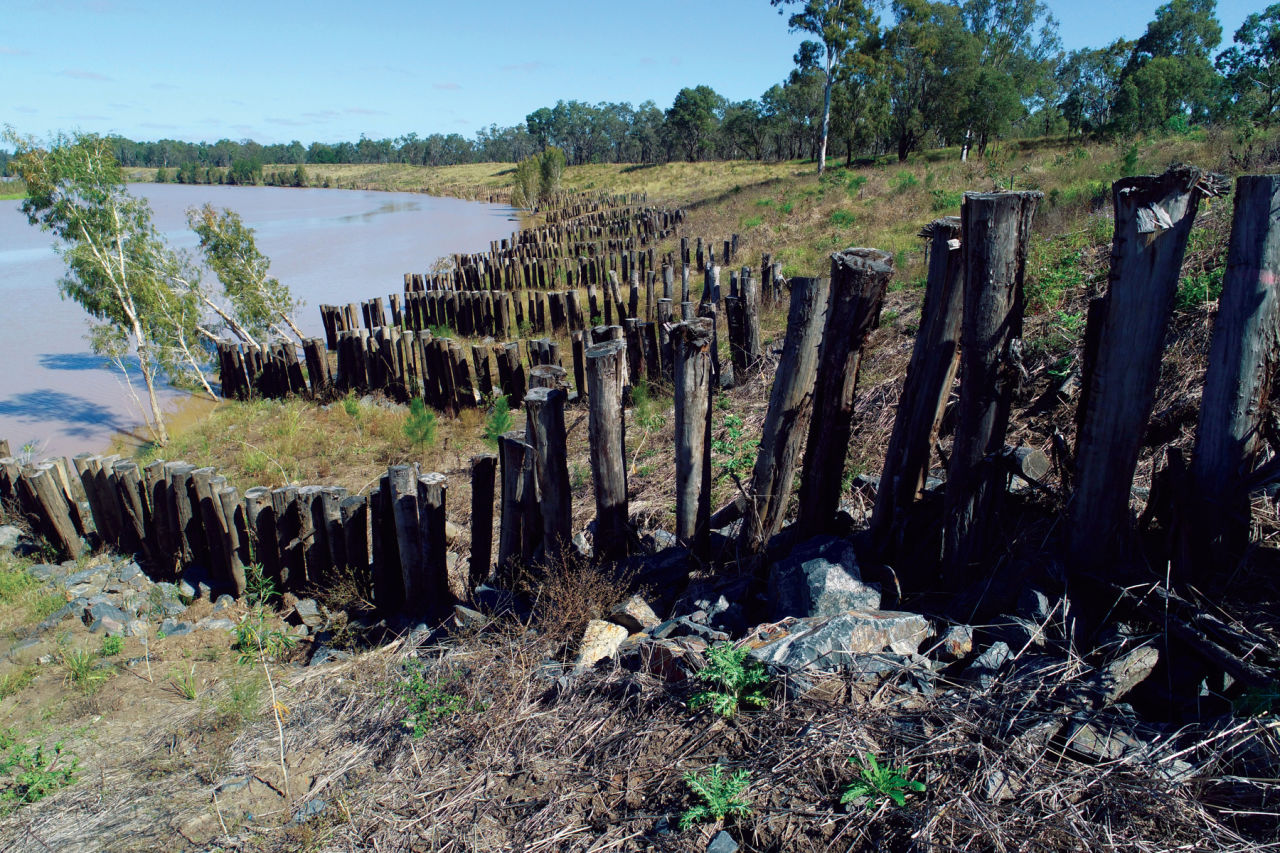 South Yamba - 1 km of streambank rehabilitated on the Fitzroy River - 23,000 tonnes/yr sediment saved. Credit: Fitzory Basin Association