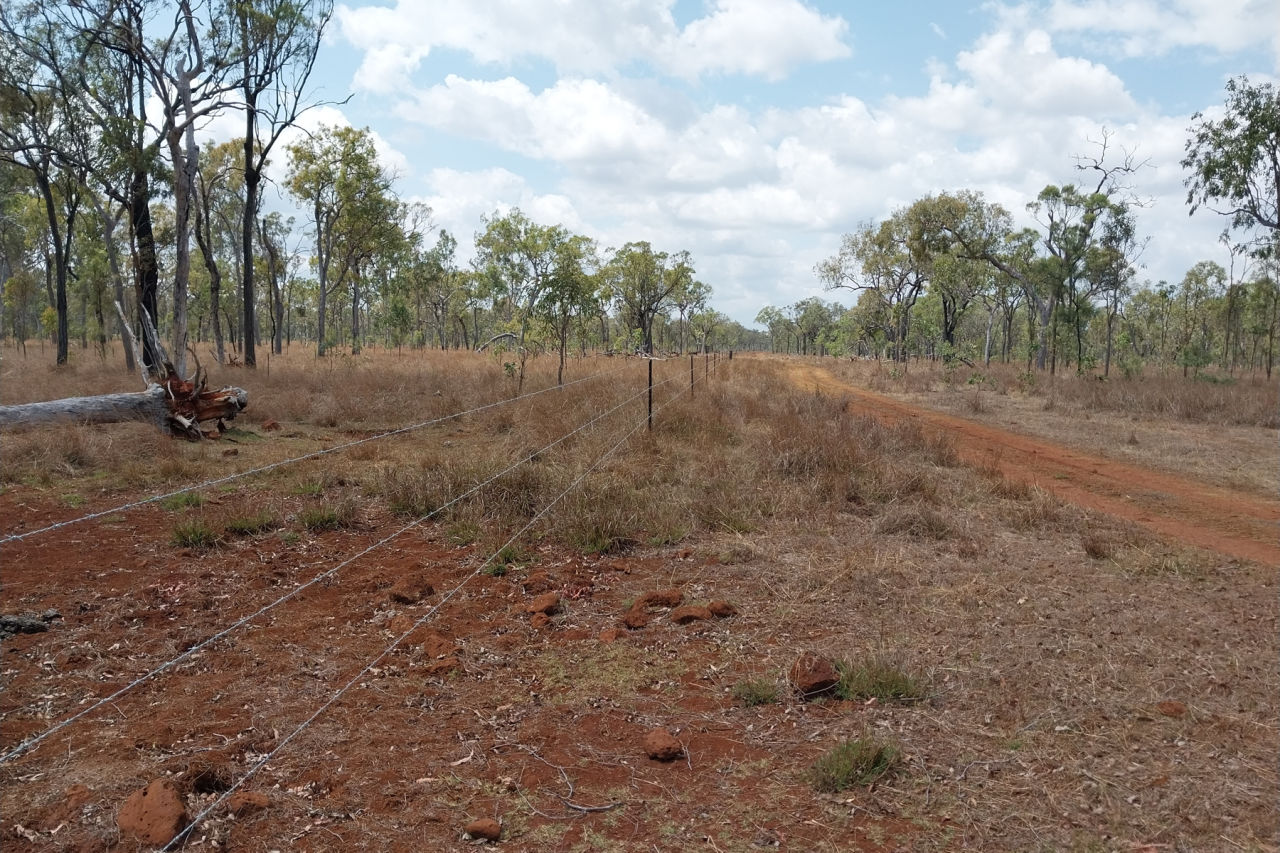 Dividing large paddock into smaller paddocks through fencing allows for spelling and better management of grazing pressure. Credit: Terrain NRM