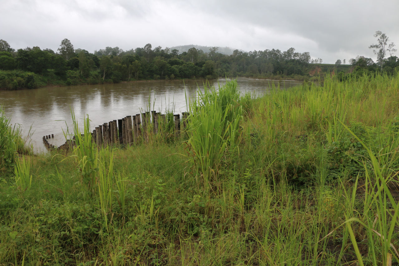 Pile fields on the Herbert. Credit: Terrain NRM