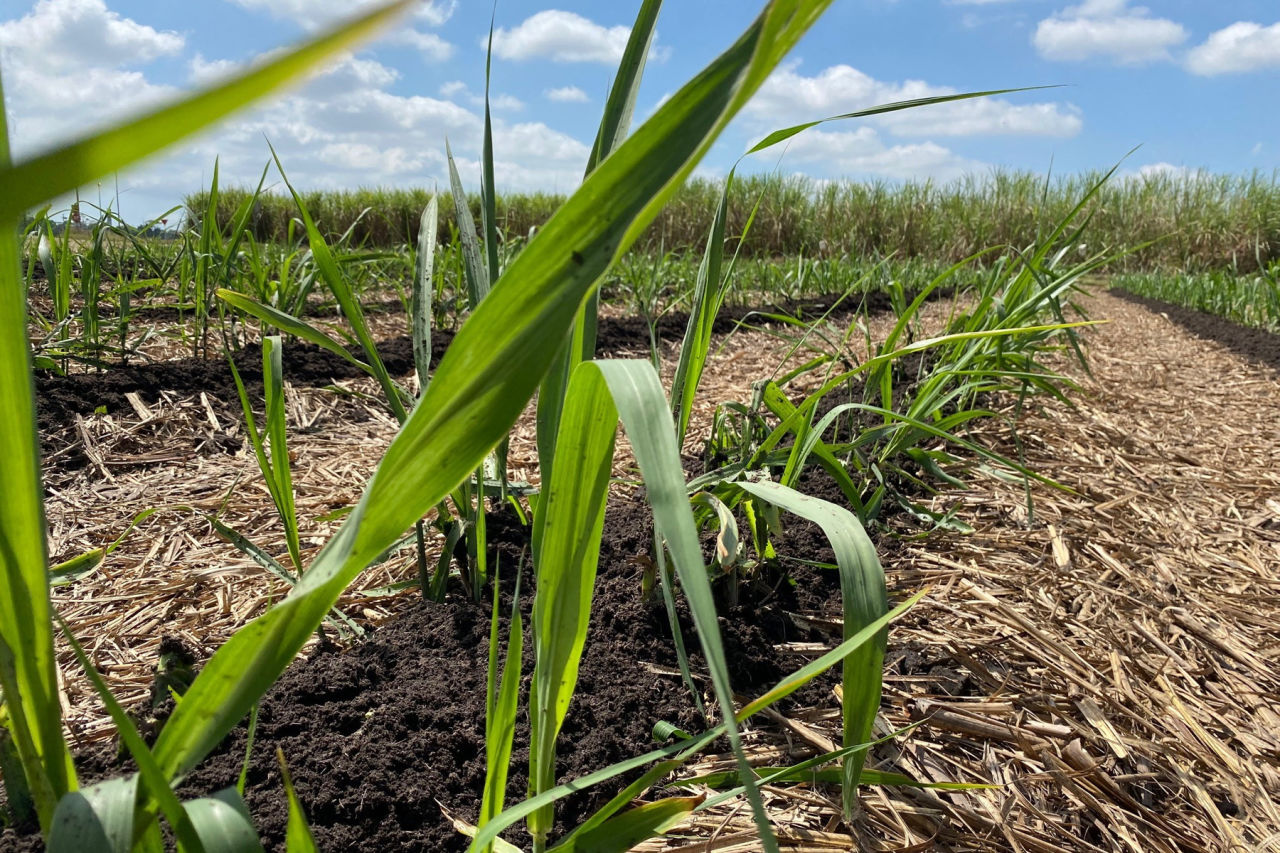 Precision application of mill mud. Credit: Agro Group