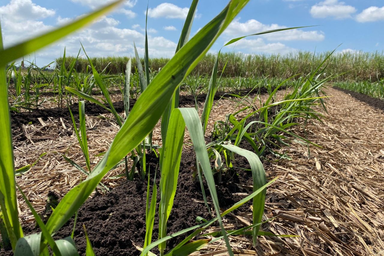 Precision placement of mill mud. Credit: Agro Group.