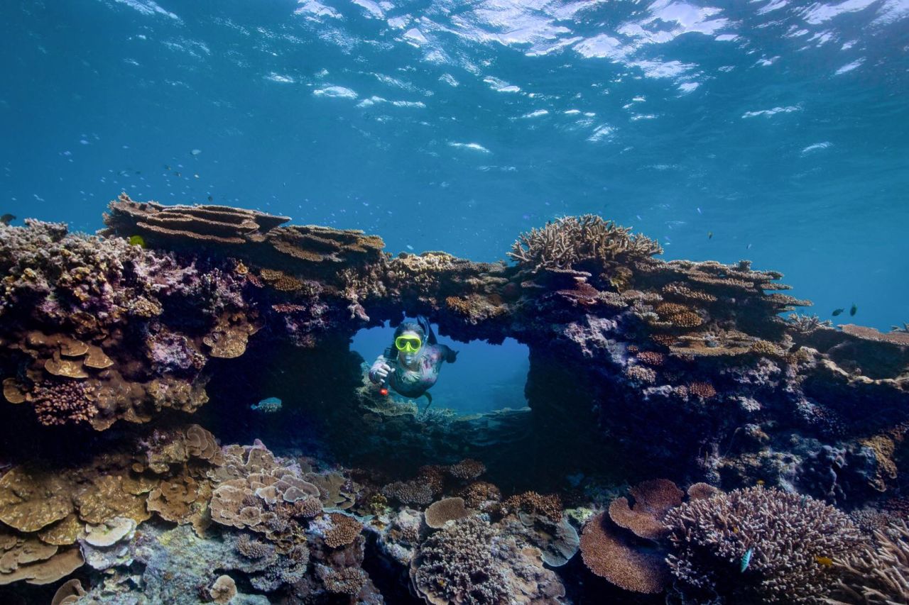 Asia Haines (Armstrong) People of the Reef profile photos.