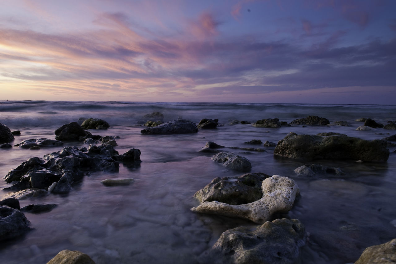 Gary's photos capture magical moments above and below the waves. Credit: Gary Cranitch, Queensland Museum