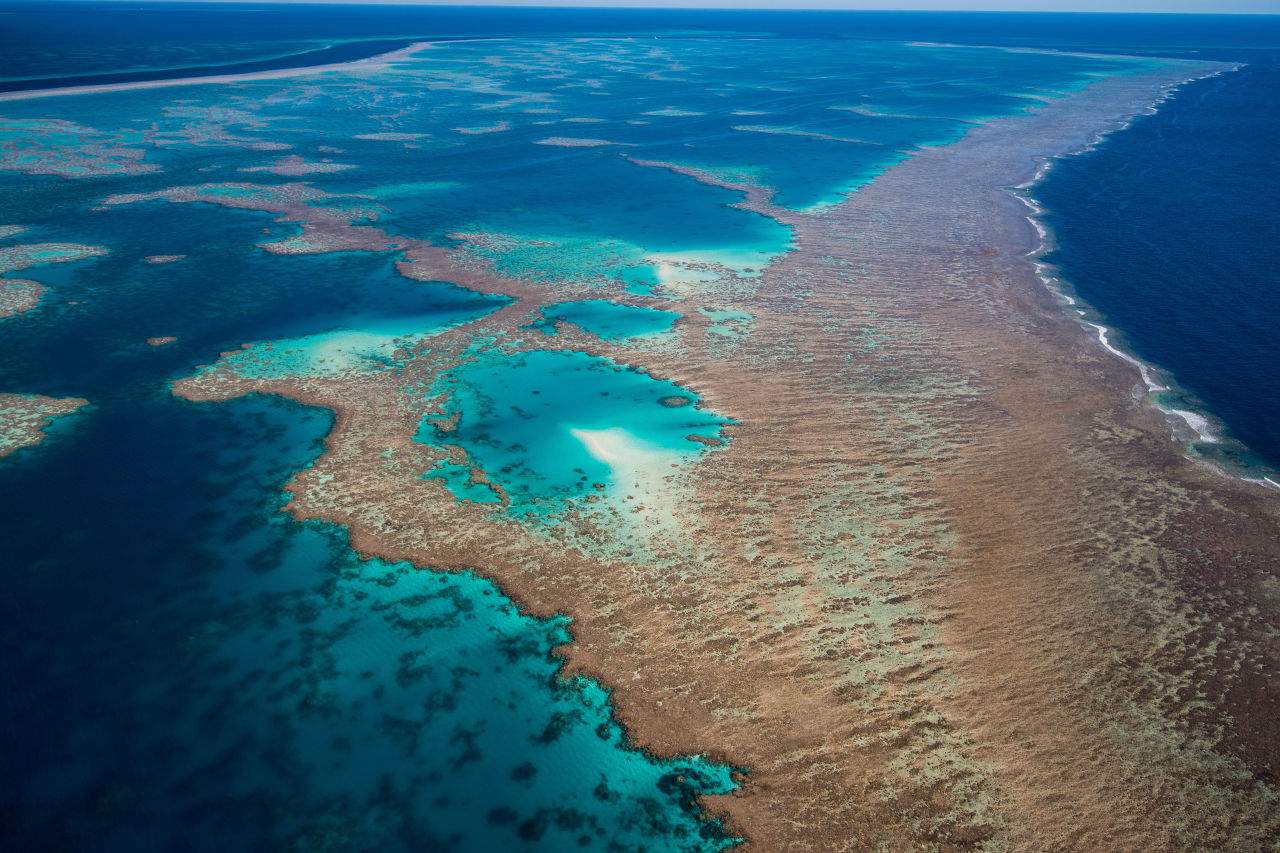 Our Reef is part of a large system of ocean circulation and currents that circulate and deliver nutrients and larvae from across the Reef and other regions. 