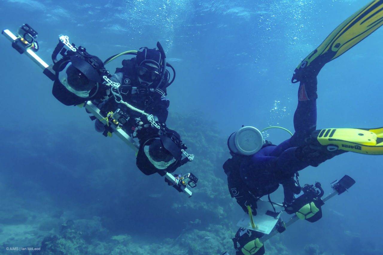 3D Reef mapping. Credit: Ian McLeod Australian institute of Marine Science