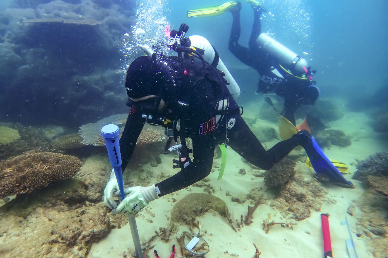 Sensor deployment. Credit: Marie Roman, Australian Insitute of Marine Science