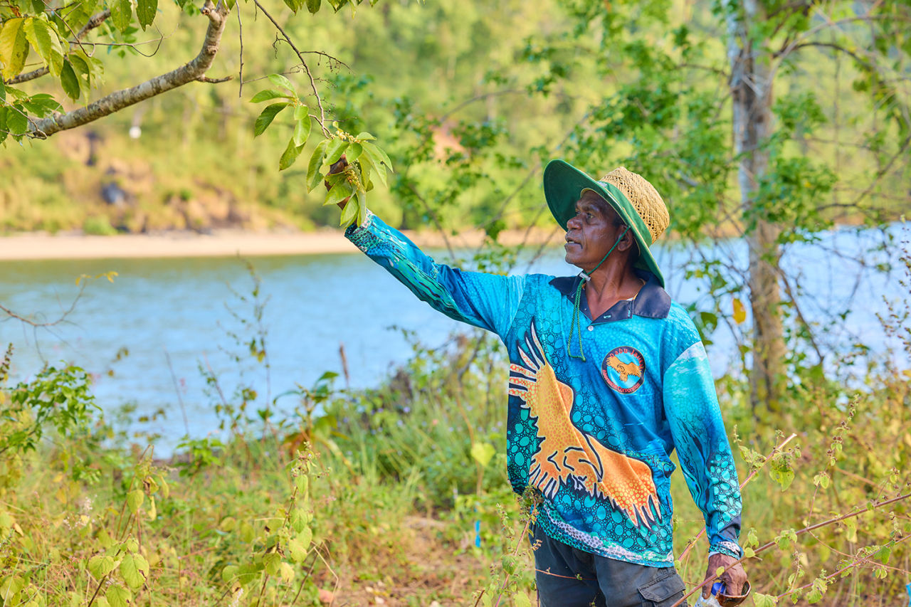 Traditional ecological knowledge is critical to the long-term health of the Great Barrier Reef. Pictured: Dabu Jajikal elder Barry Olbar.