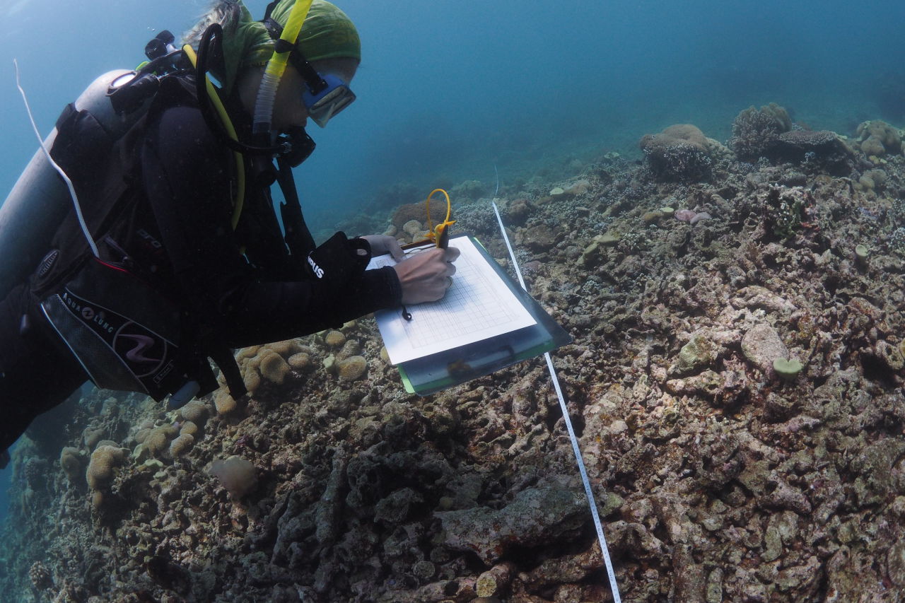 Catherine Kim conducting coral surveys in Timor Leste. Credit: Shakib Haron.