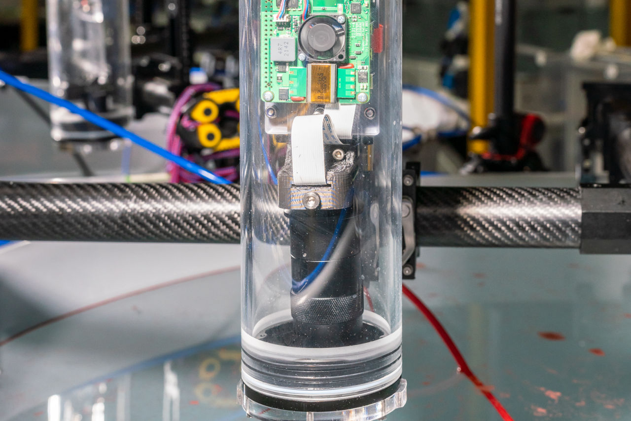 The coral counting systems use artificial intelligence techniques to automatically count coral babies. Credit Dorian Tsai