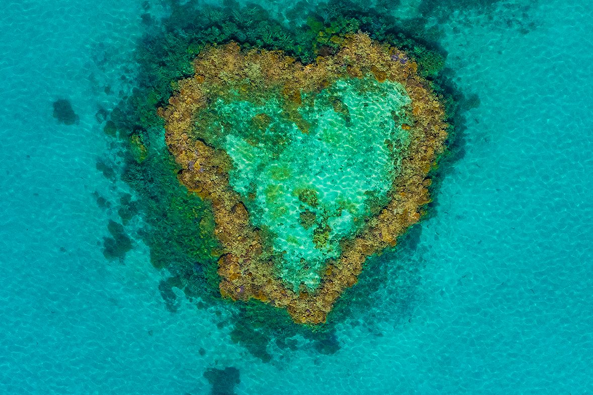 Heart Reef, Whitsundays