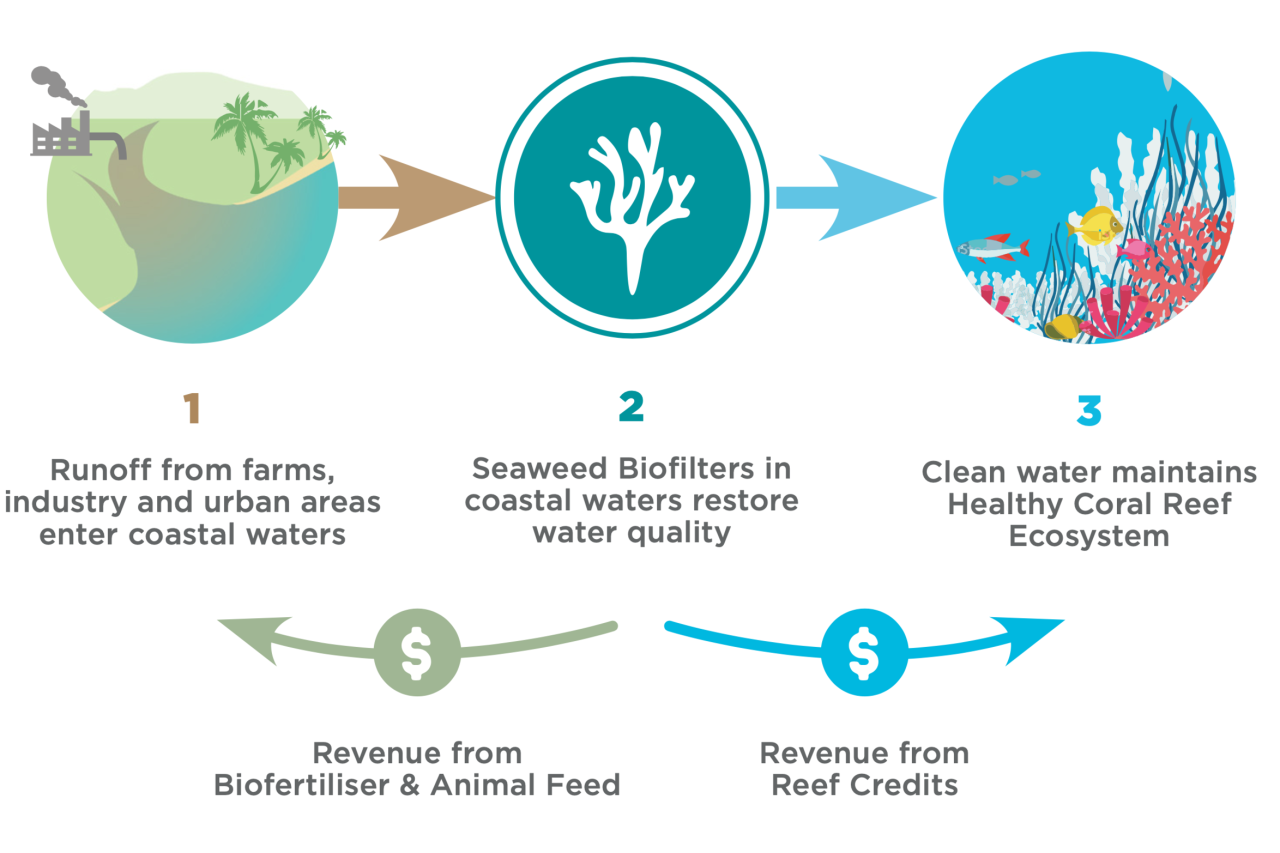 Source: Australian Seaweed Institute