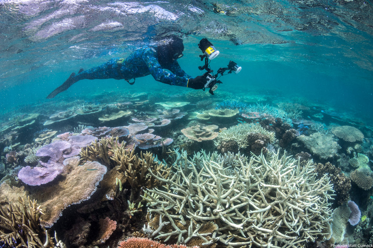 Ian has always been fascinated by marine biology, completing a phD in climate change impacts on reef fish. Credit: Matt Curnock 