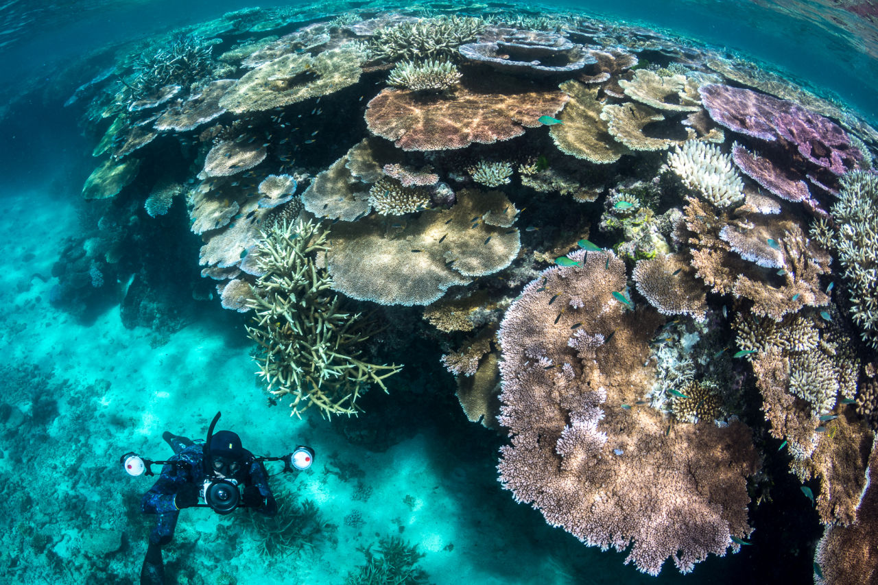 Ian is a keen free diver and underwater photographer. Credit: Matt Curnock