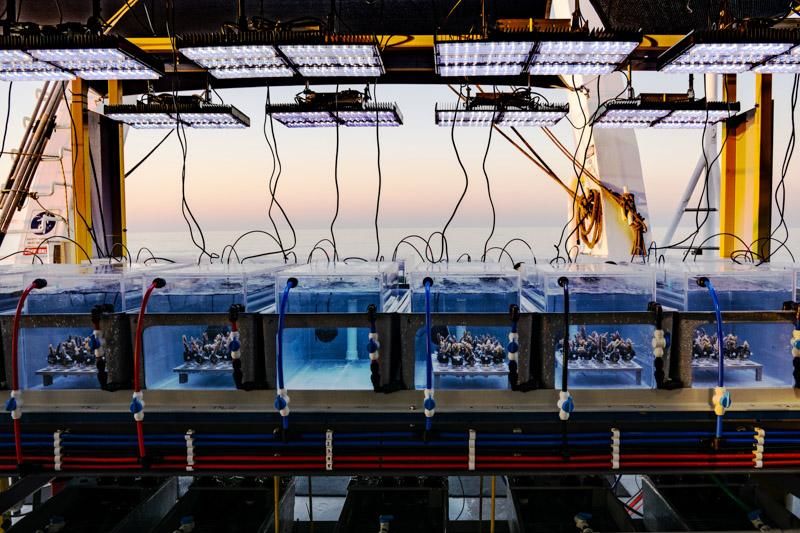 Researchers from the Australian Institute of Marine Science use portable aquariums in the search for heat-resistant corals that can survive warming ocean temperatures caused by climate change. Credit: James Gilmour/AIMS