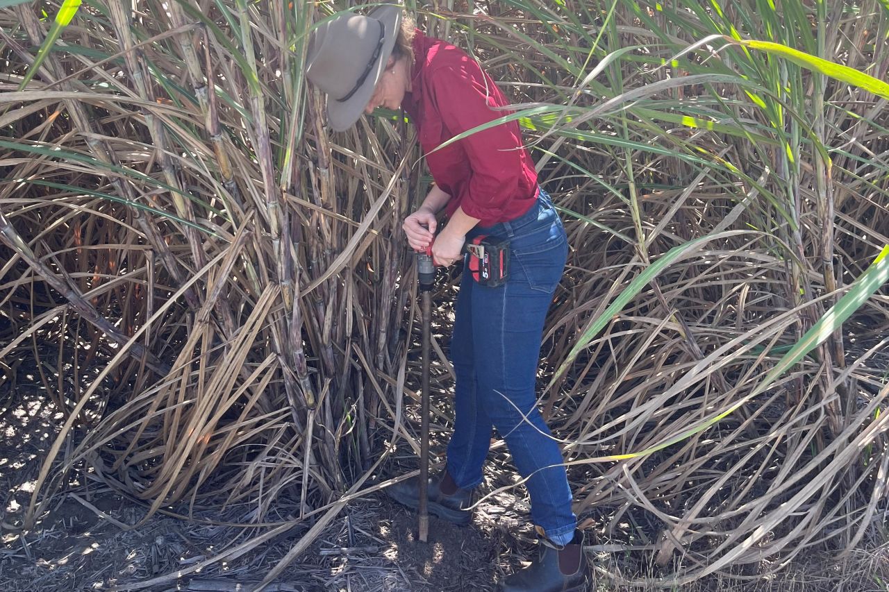 Collecting a soil sample for testing. Supplied: Shannon Byrnes