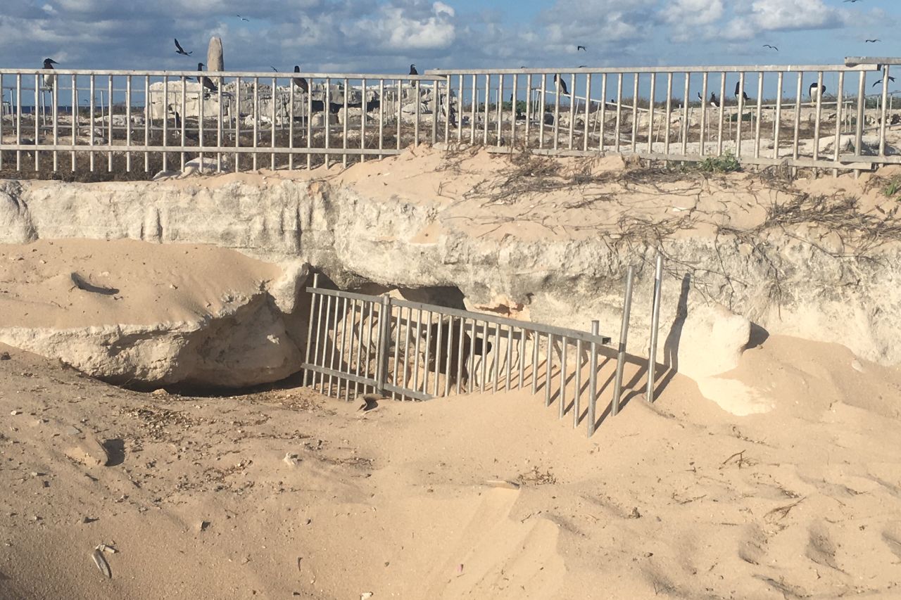 With our partners, we installed fencing to prevent fatal cliff falls, which were common before our project began. Credit: QPWS