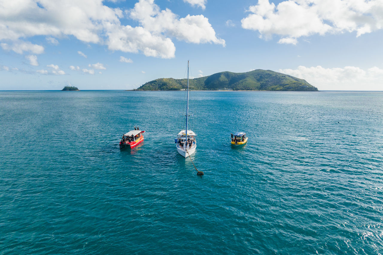 Kiana Sail & Dive, Red Cat Adventures and Ocean Rafting at Coralpalooza in the Whitsundays.