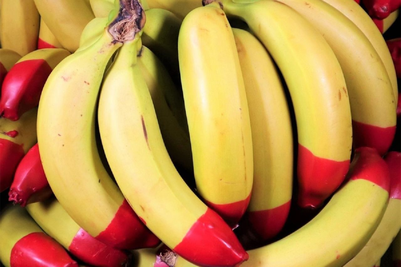 The Eco Banana