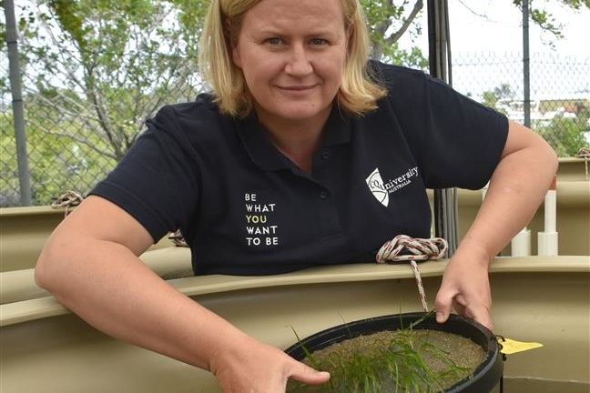  Emma is exploring different methods of restoring seagrass meadows on the Reef. Supplied: Emma Jackson