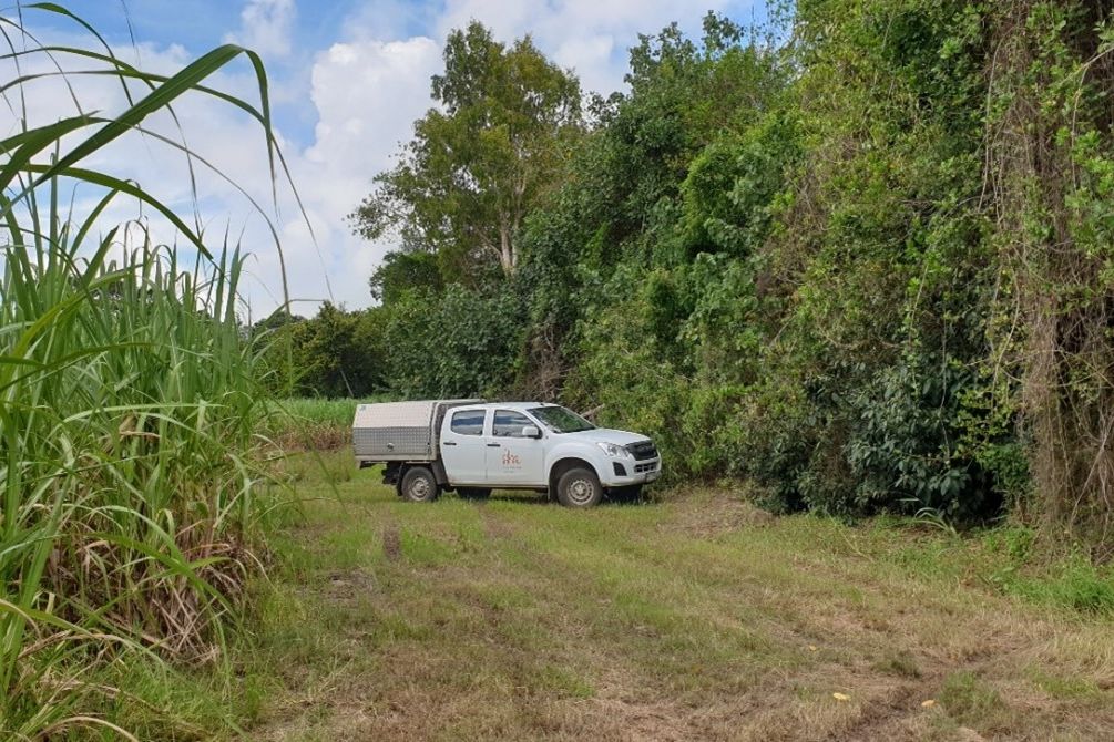 Farm paddock extends to the mangroves. Credit: SRA