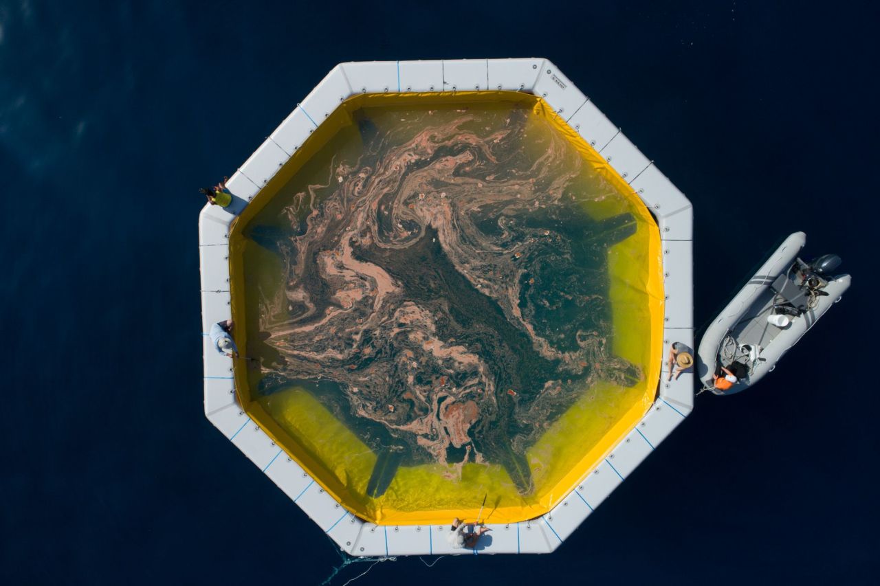 Coral Reef restoration works during annual coral spawning