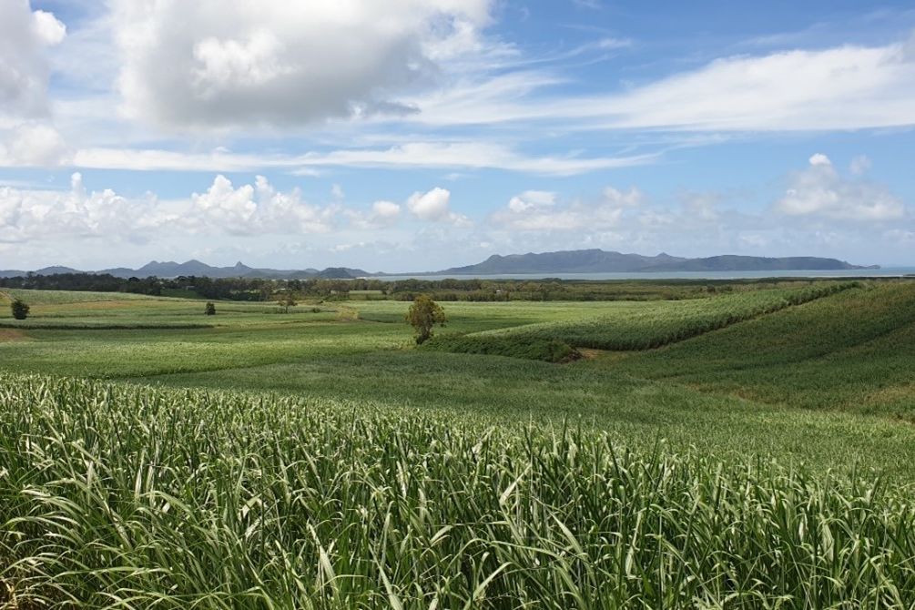 Home farm looking to adjacent mangroves and estuarine creeks with Sand Bay/Cape Hillsborough in the background. Credit: SRA