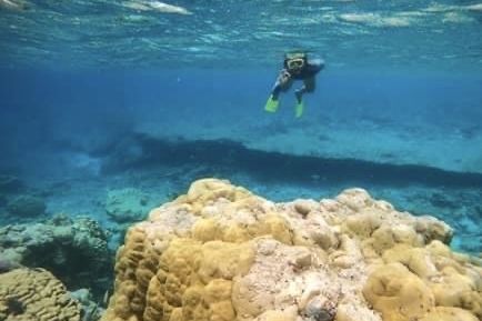“Biodiversity accounting” approaches can help guide decisions on the most critical conservation and restoration actions.