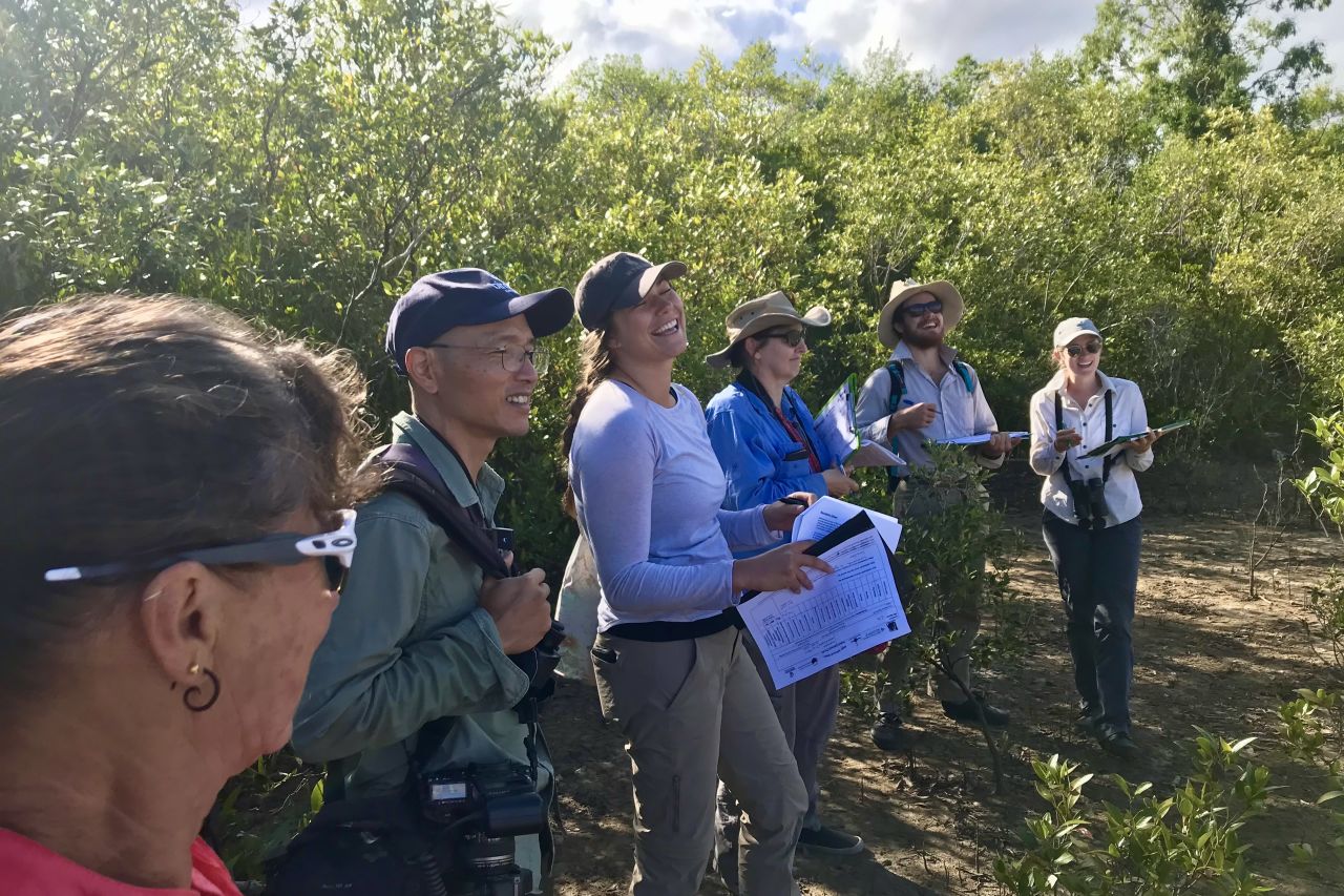 Volunteers and team leaders in the field undertaking mangrove condition assessments. Credit: CAFNEC.