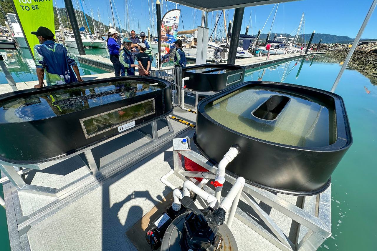 The current seagrass nursery will triple the nursery's capacity. Credit: Reef Catchments.