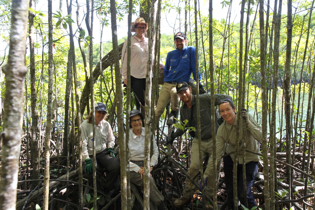 A team of citizen scientists collecting data about mangroves. Credit: Jessica Walker