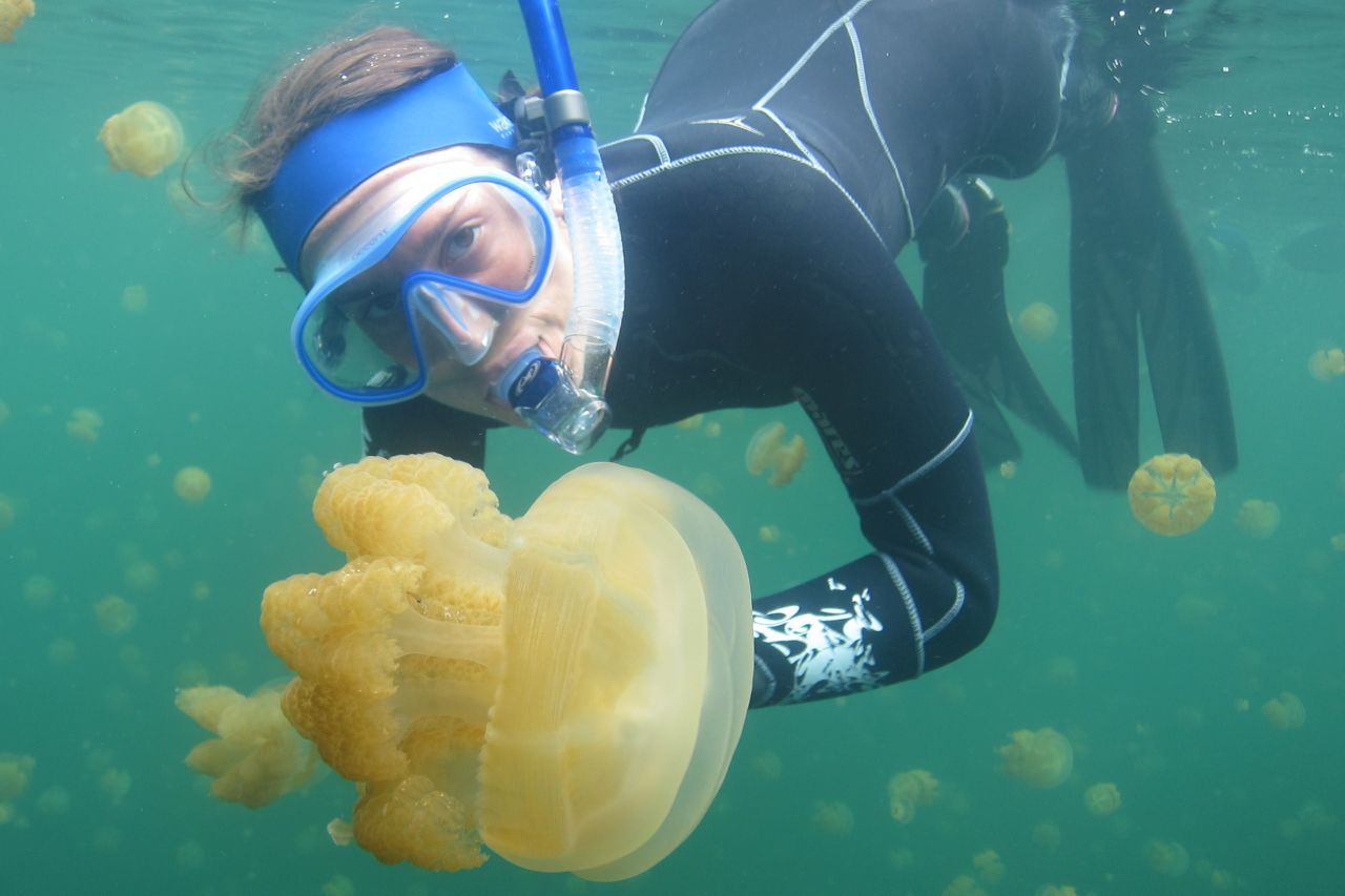 Jenn's diving trip to Palau was transformative. Supplied: Jenn Loder