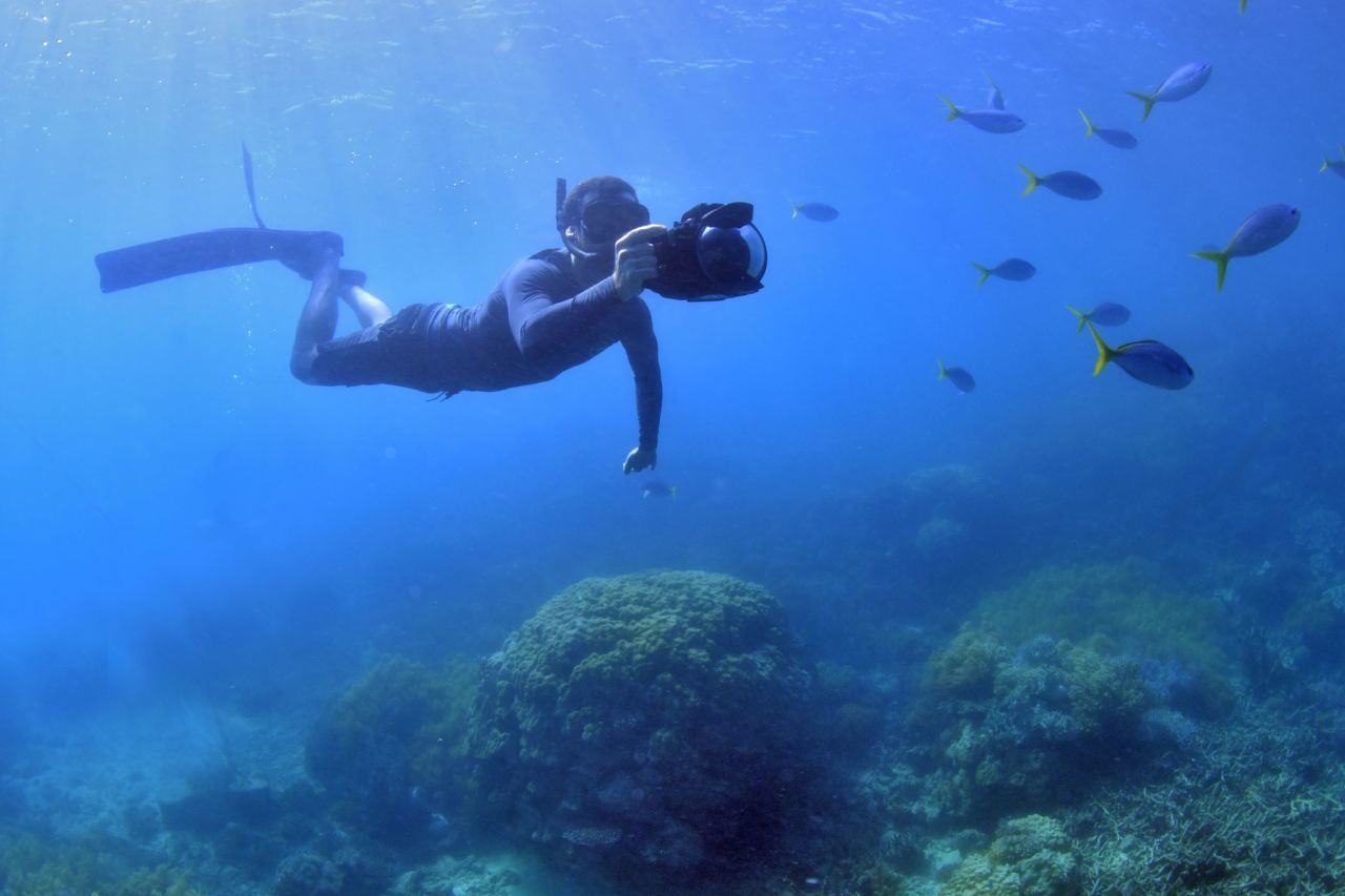 Johnny Gaskell has explored the length of the Great Barrier Reef to better understand coral cover.