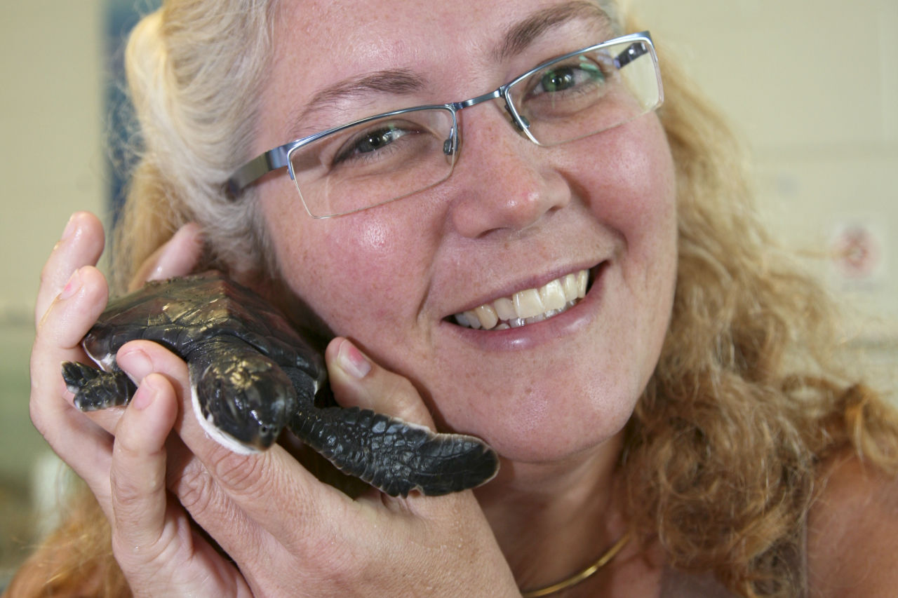 Kathy's research has helped protect turtles on the Great Barrier Reef. Supplied: Kathy Townsend