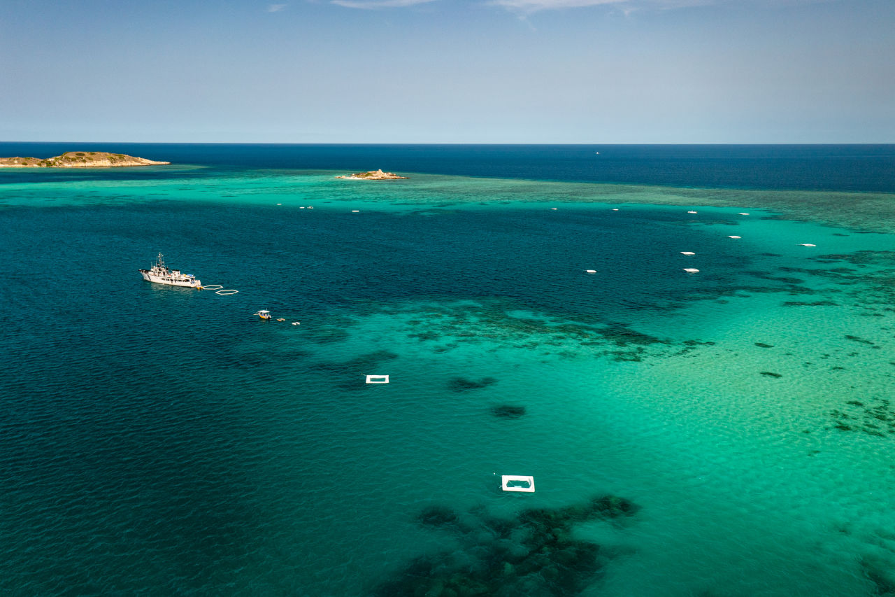 Lizard Island's Blue Lagoon. Credit: Southern Cross University