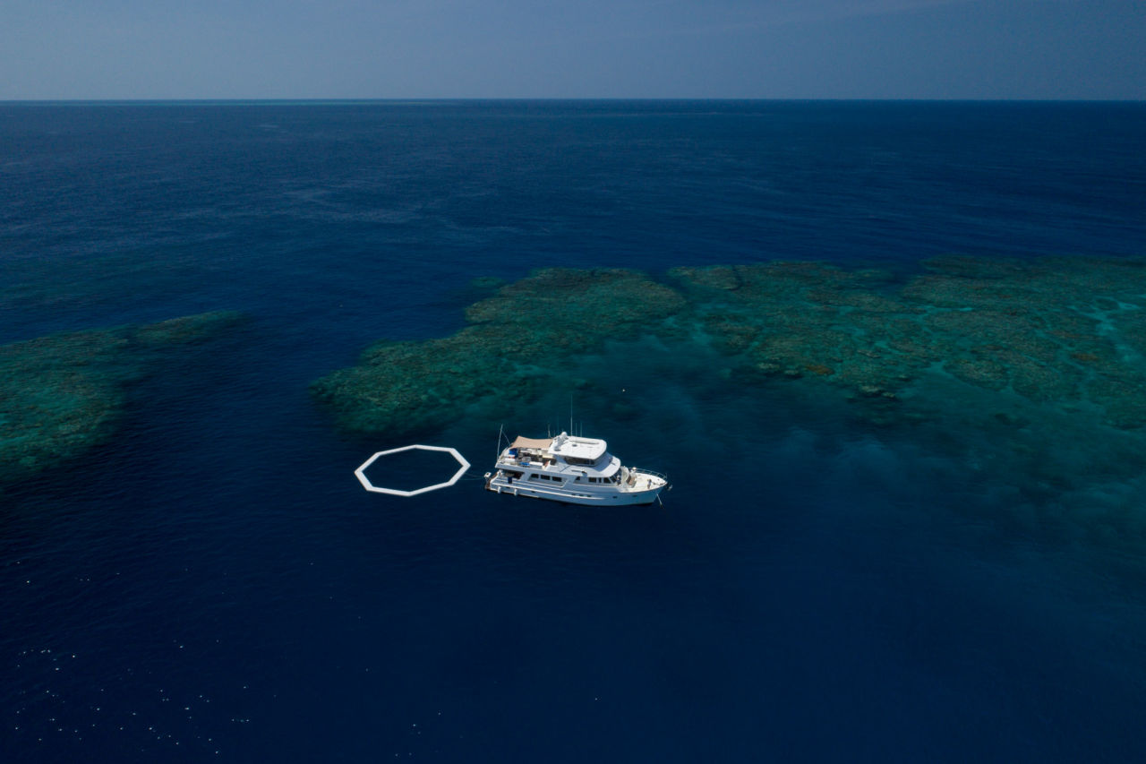 📷 Juergen freund - coral restoration on moore reef