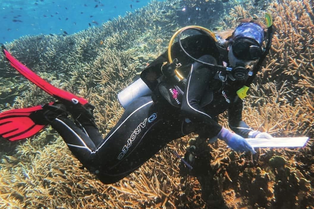 Dr Mary Bonin leads the COTS Control Innovation program, working to tackle crown-of-thorns starfish outbreaks.