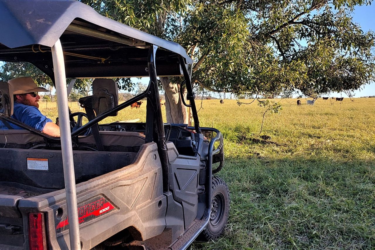 Matt Lisle in his buggy. Credit: Verterra